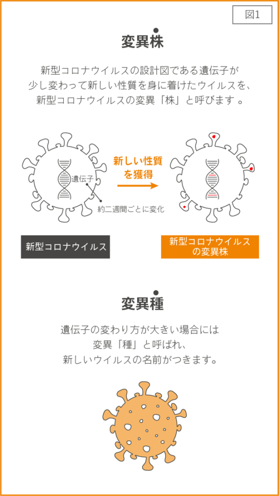 イギリスでデルタとオミクロンの変異を併せ持つ未知の変異株を確認　WWWWWW
